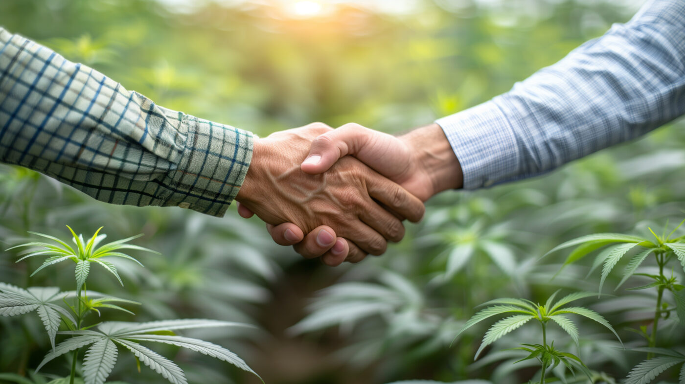 two hands shaking in front of marijuana plants, Ai Generated Images