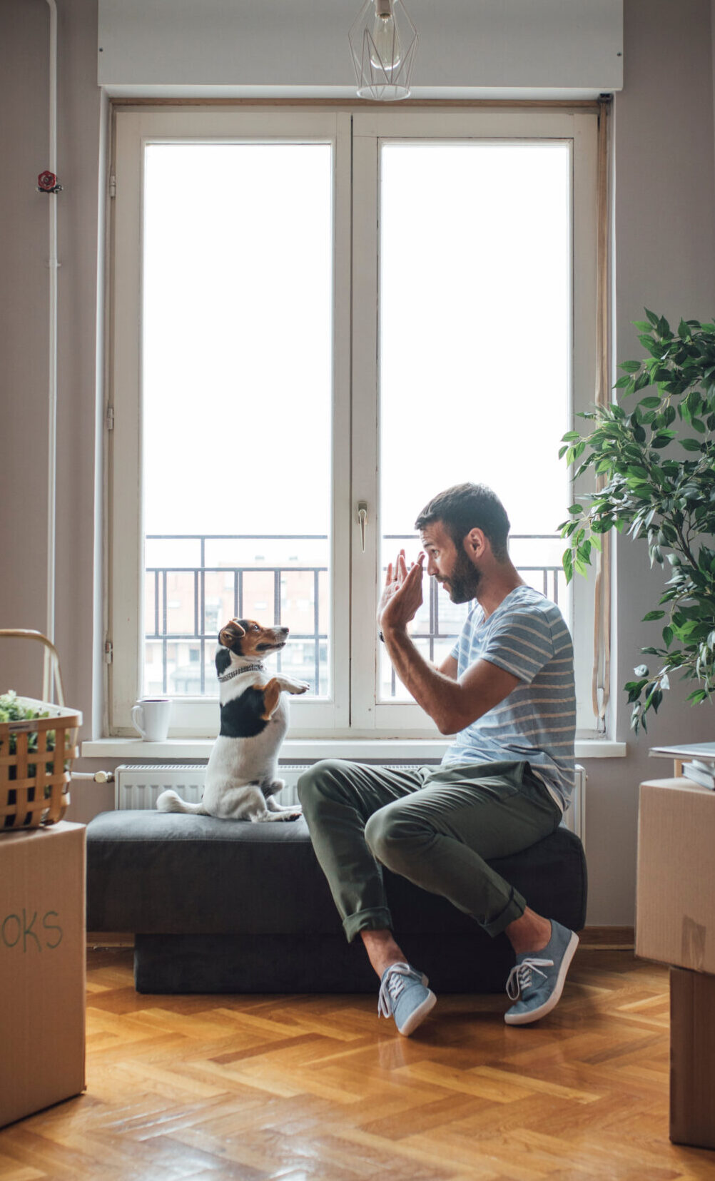 man high fiving dog